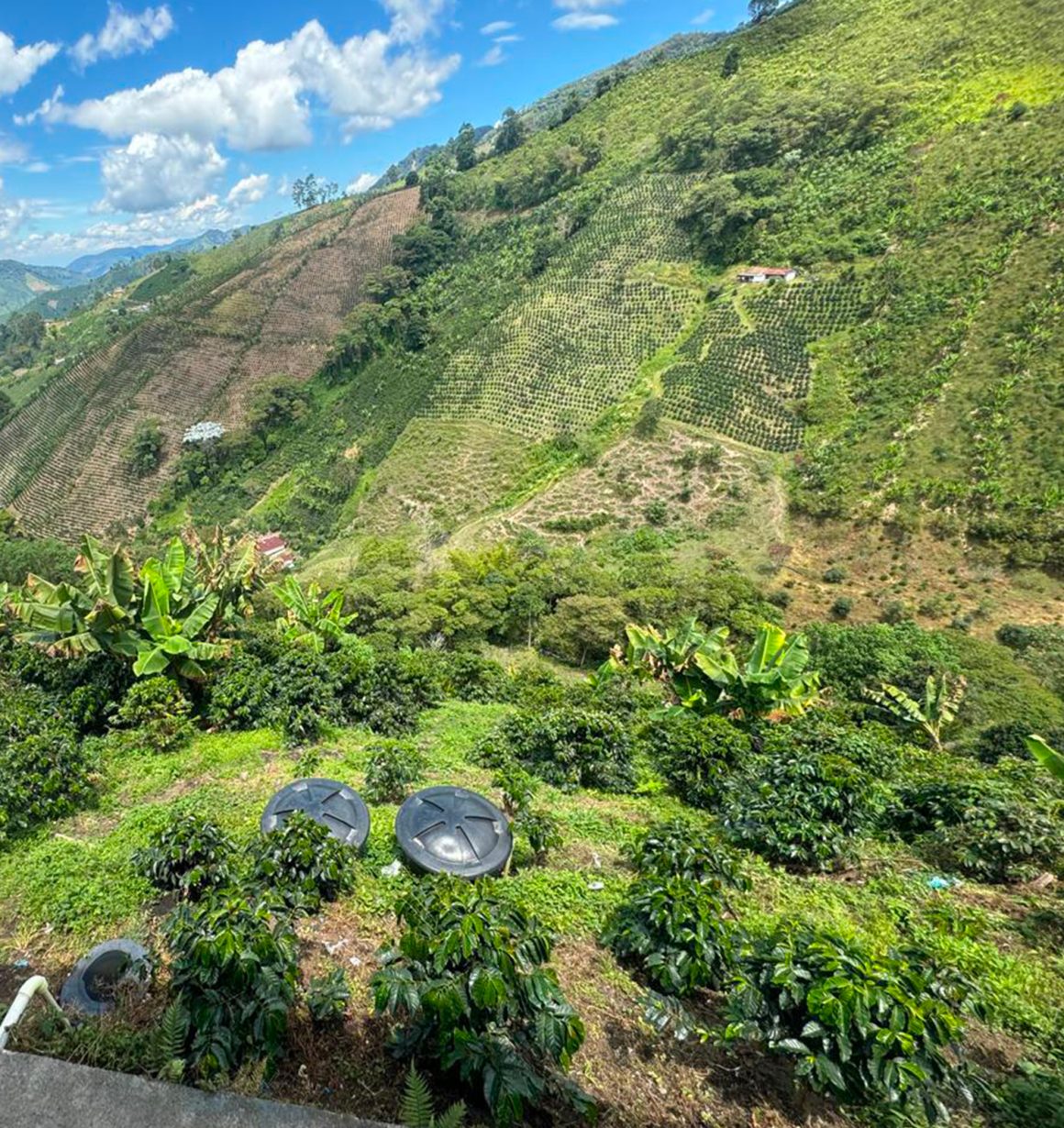 Casa en venta El Poblado Pereira