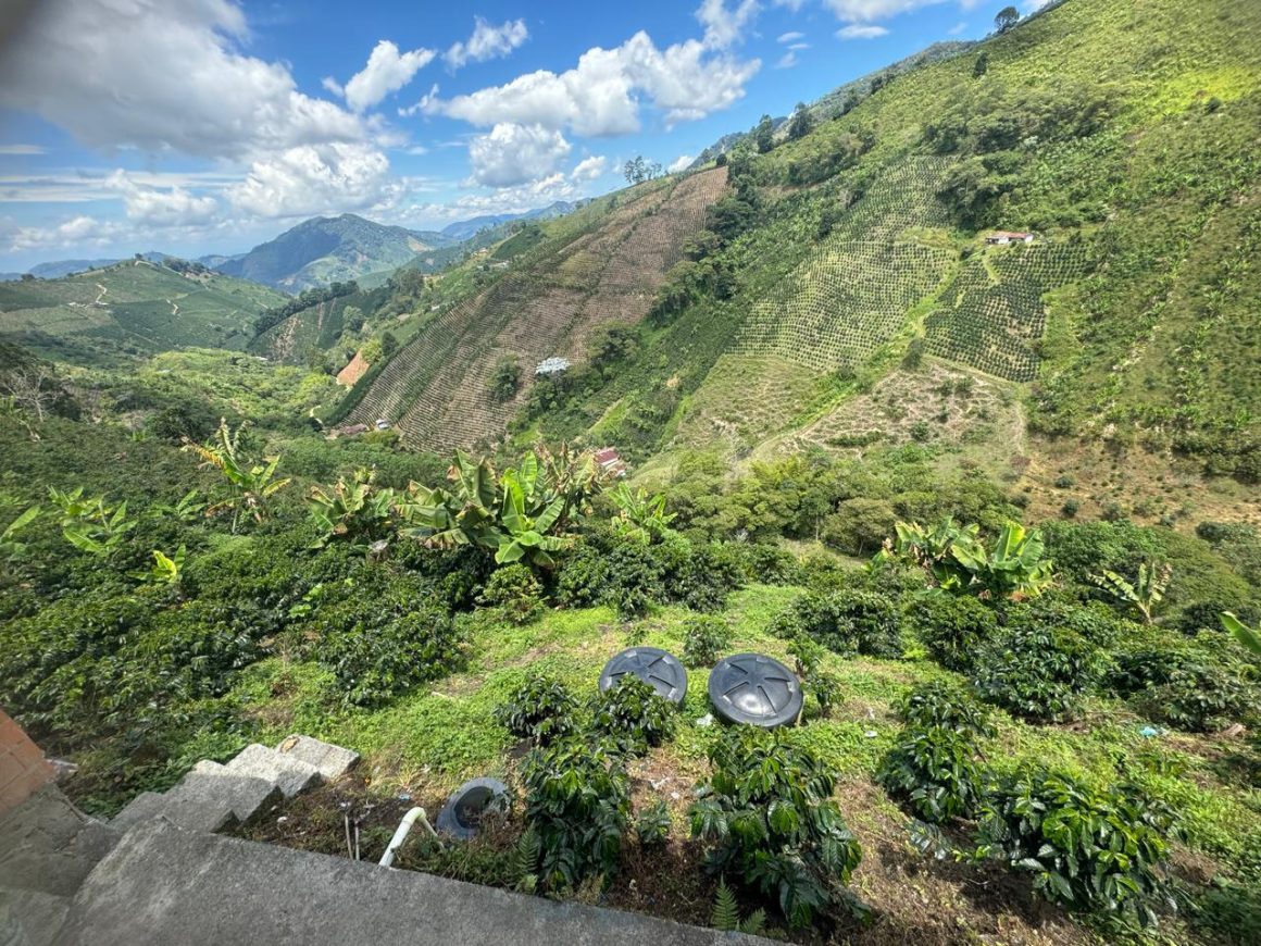 WhatsApp Image 2026-02-24 at 4.46.11 PM (8) Finca Productiva en venta Santuario Risaralda